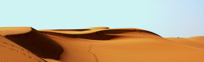 Desert