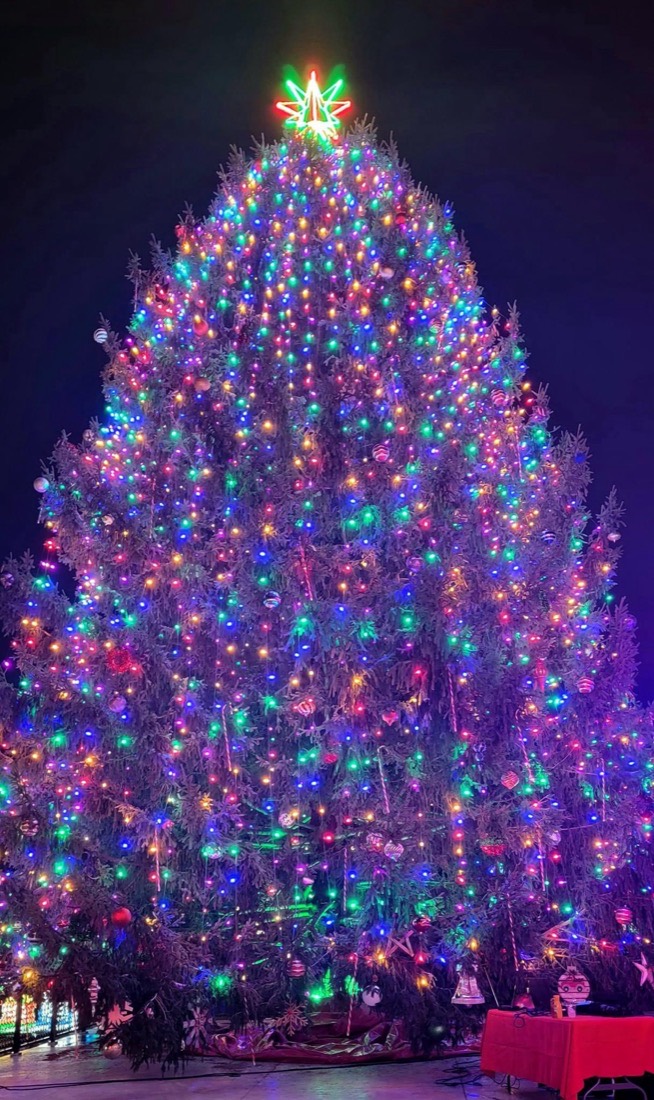 South Lyon community tree lighting